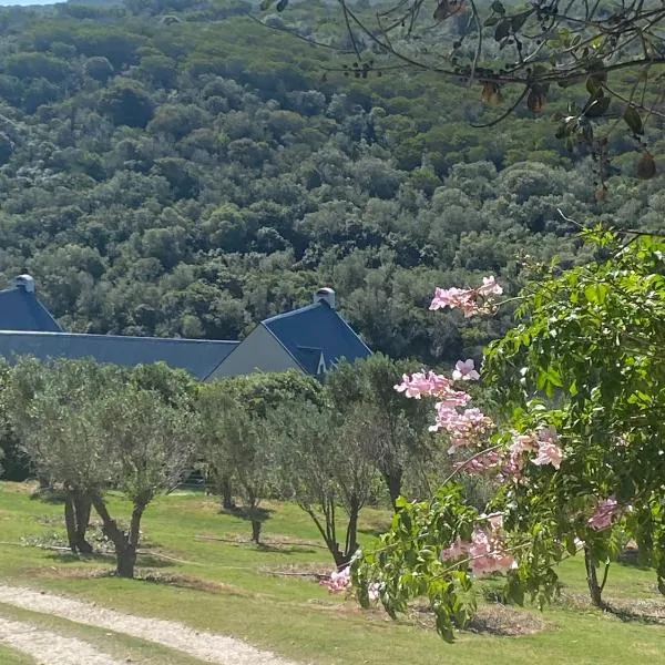 Long Thin Farm, hotel in Stilbaai