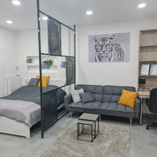 London Apartman Szeged, hotel v destinaci Szeged