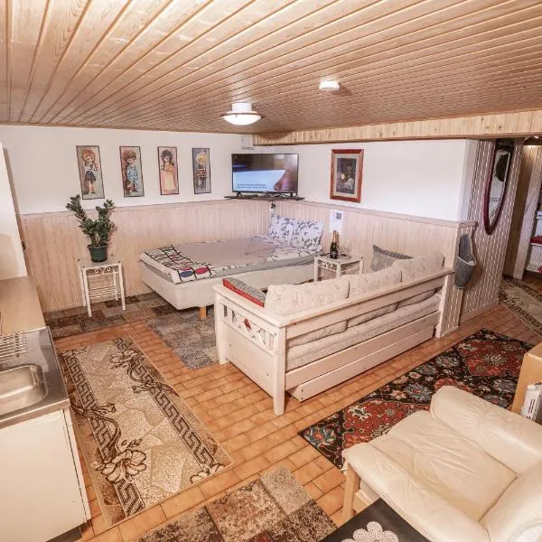 Mukava kellarihuoneisto jossa sauna ja poreallas, hotelli kohteessa Pietarsaari