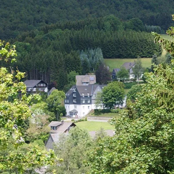 Bed and Breakfast Am Knittenberg, hotel v destinaci Winterberg