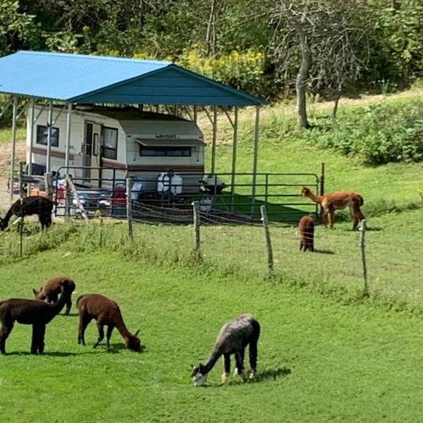 The blue rooster, hotel in Celoron