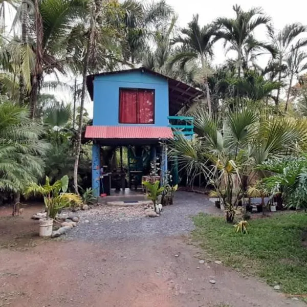 Casa LalitoHouse cabaña rustica frente al mar., hotel in Pavones