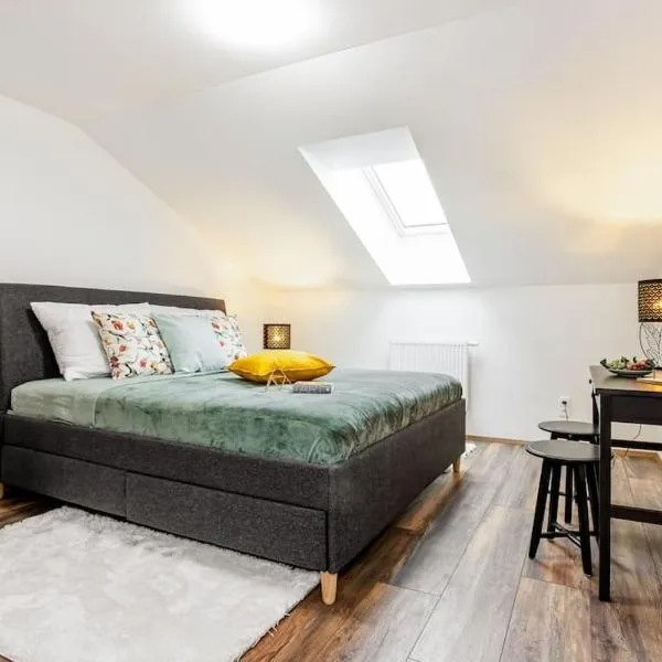 Apartmán Výhledy Lipno，位于伏尔塔瓦河畔利普诺的酒店