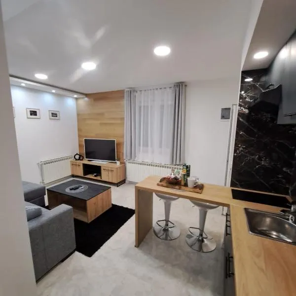 Apartman Pariz, hotel in Slavonski Brod