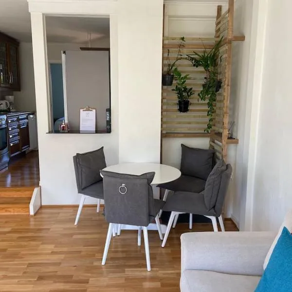 Lys og trivelig leilighet i Larvik, hotell sihtkohas Larvik