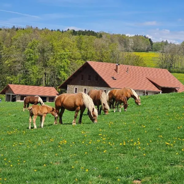 Gîte du cheval blanc, khách sạn ở Arçon