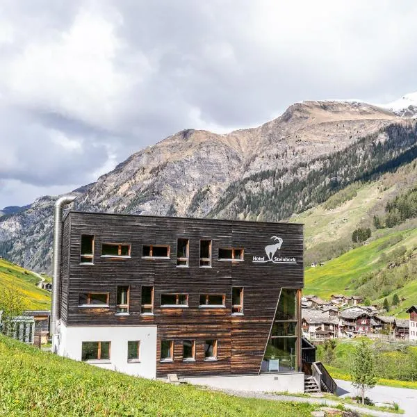 Hotel Steinbock Vals, hotel in Lumbrein