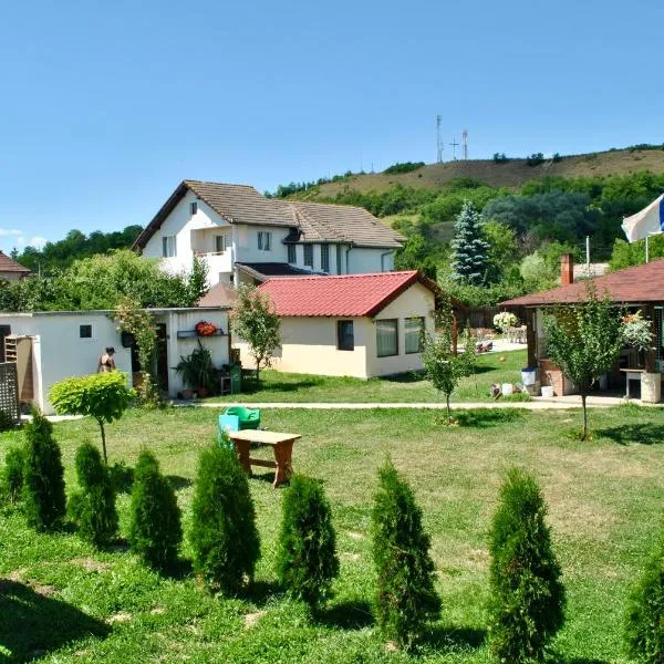 Camping La Foisor Turda, hotel in Turda