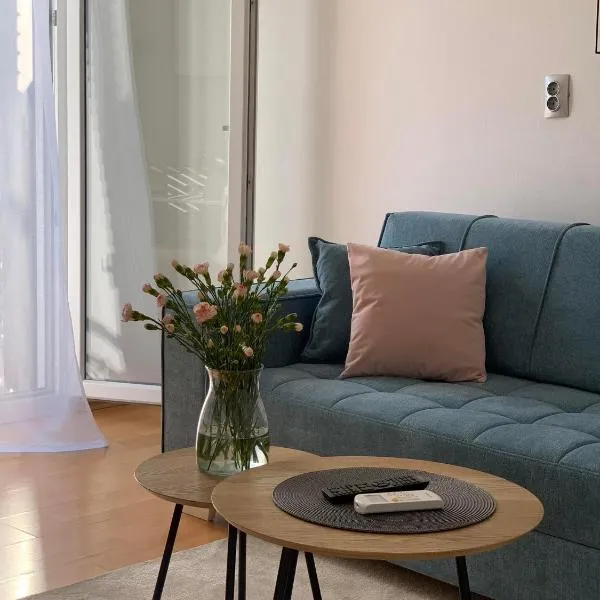 Apartman Mare Blace, hotel em Blace