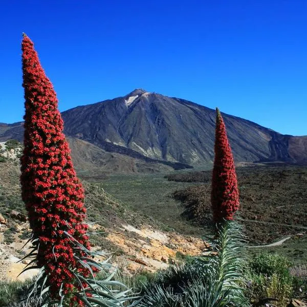 Casa Ivonne - San Isidro, hotel v destinaci San Isidro