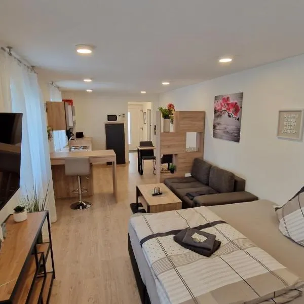Appartment-Ferienwohnung mit Küche, Bad, kostenlos WLAN, Modern eingerichtet, hotel v destinaci Roding