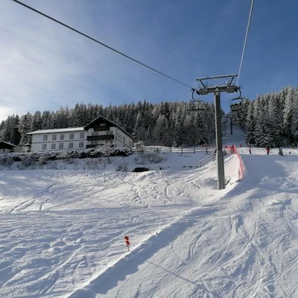 Alpengasthof Fernblick, hotel in Mönichkirchen