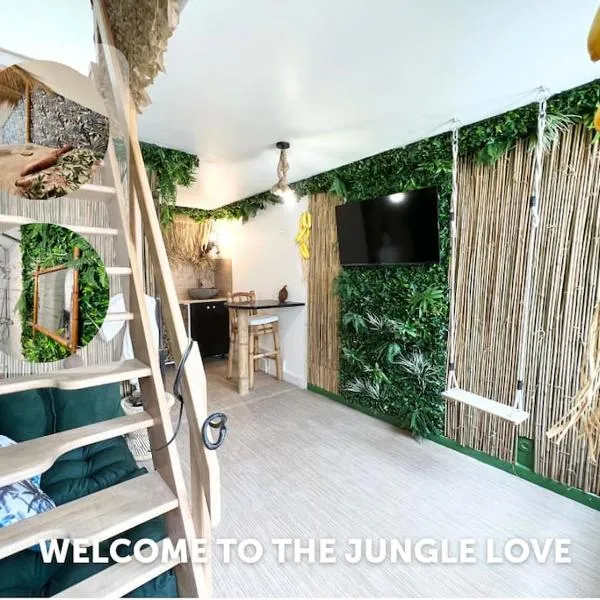 Nuit dans la jungle - love room, hotel in Souppes-sur-Loing