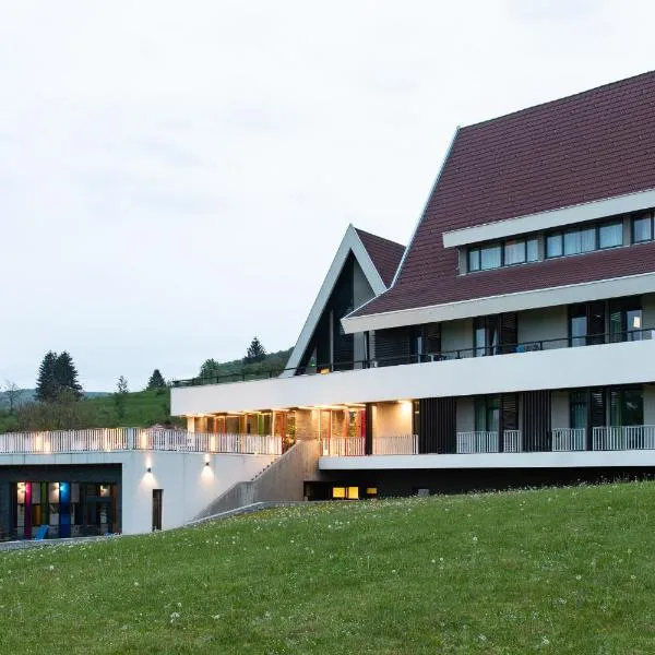 Altus Hotel & Spa, hotel en Praid