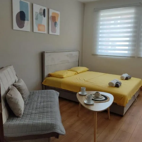 Apartman Andjela, hotel in Pluzine
