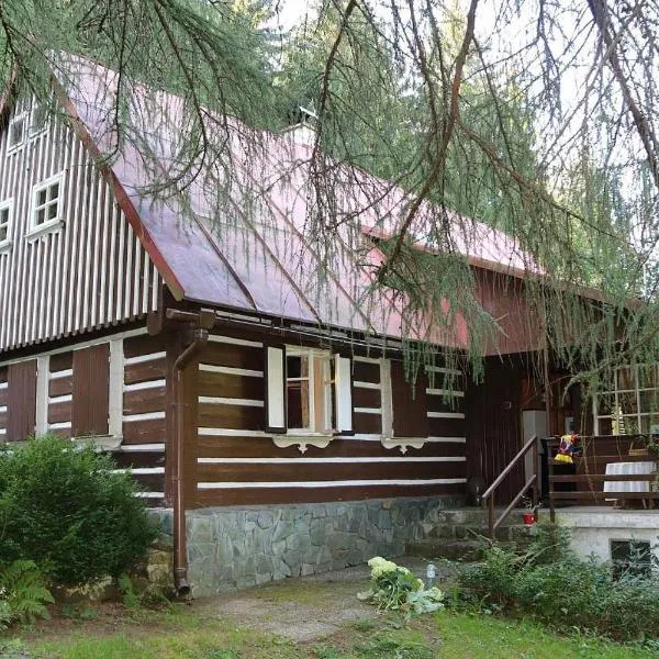 Chalupa pod Modřínem, hotel in Kořenov