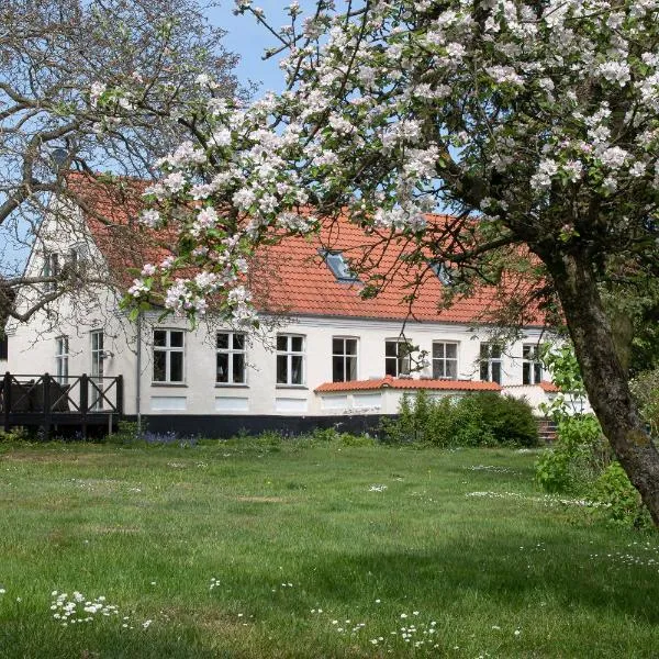 Feriehuset Ørnereden, hotel v destinaci Ronne
