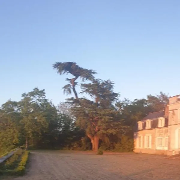 Château de Colliers, hotel em Muides-sur-Loire