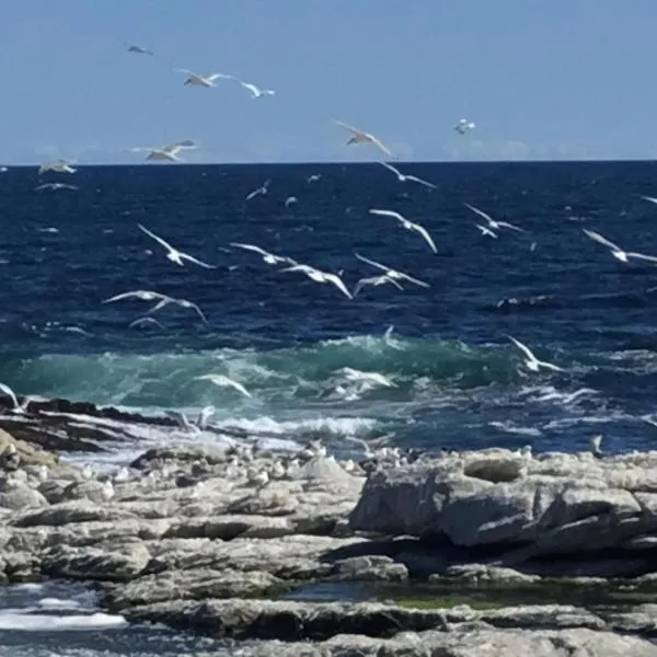 43 WHALE ROCK ESTATE、ヘルマナスのホテル