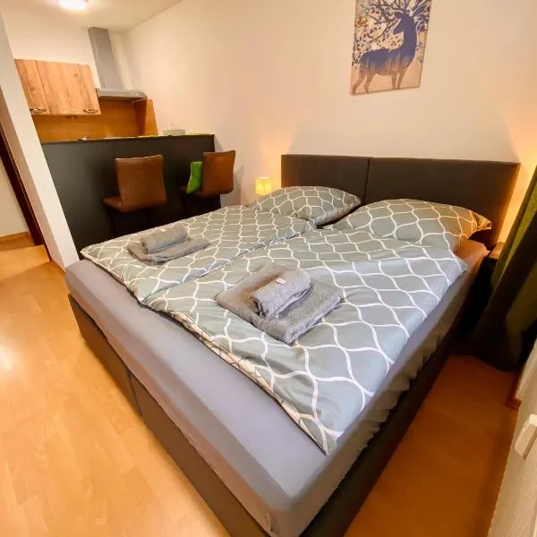 Schafberg nahe Zentrum Einzimmer Ferienwohnung, hotel v destinaci Bad Ischl