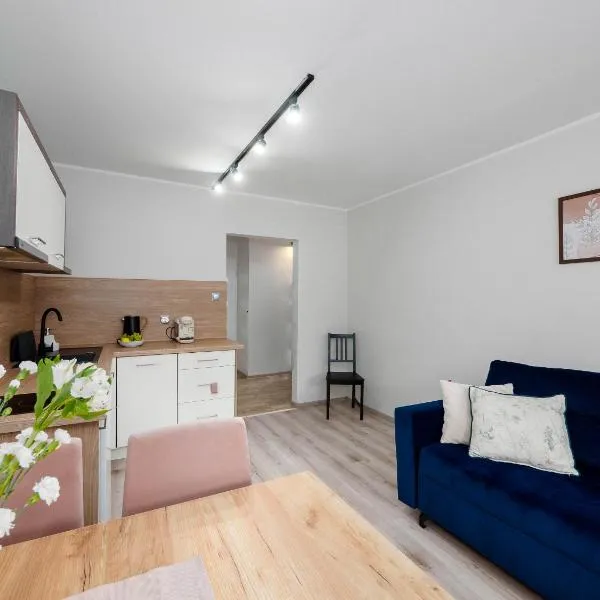 Best Choice 2-bedroom Apartment, hotel in Płock