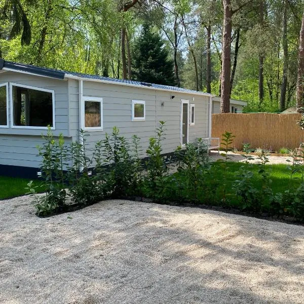 Chalet in de Veluwse bossen, hotel en Hoenderloo