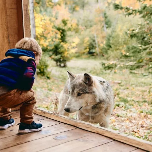 Parc Omega, hotell i Grenville-sur-la-Rouge