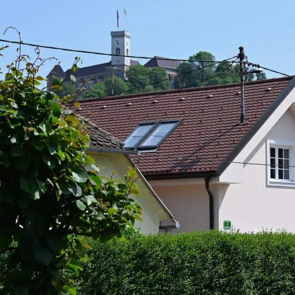 Krakovska apartments, hotel in Ljubljana