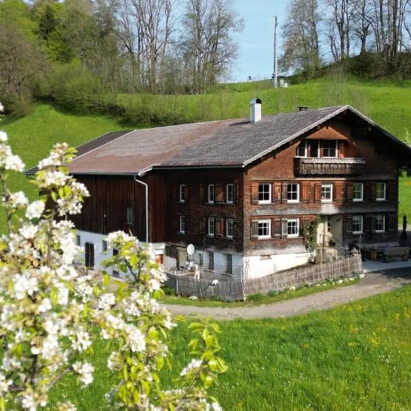 Bergoase Hohenegg, hotel a Lingenau