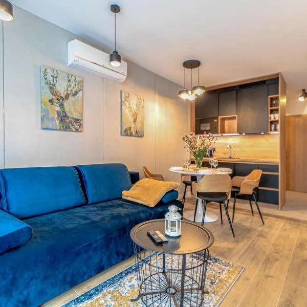 Apartamenty Kalinowa z sauną i bawialnią - Dream Apart, hotel in Szczyrk