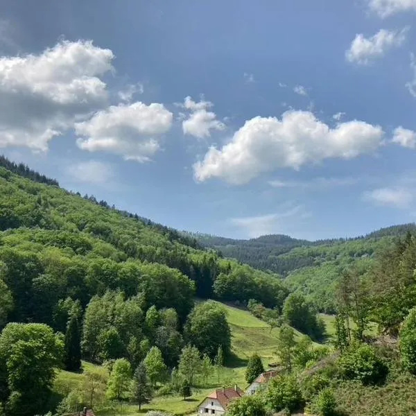 La belle vallée, hotel u gradu 'Saulxures'