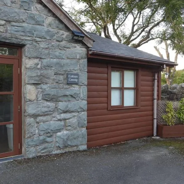 Nature's Oasis: Pet-Friendly Snowdonia Cottage、Trawsfynyddのホテル