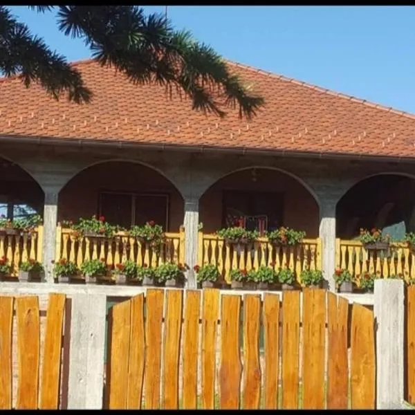 Domaćinska kuća, hotell sihtkohas Aranđelovac