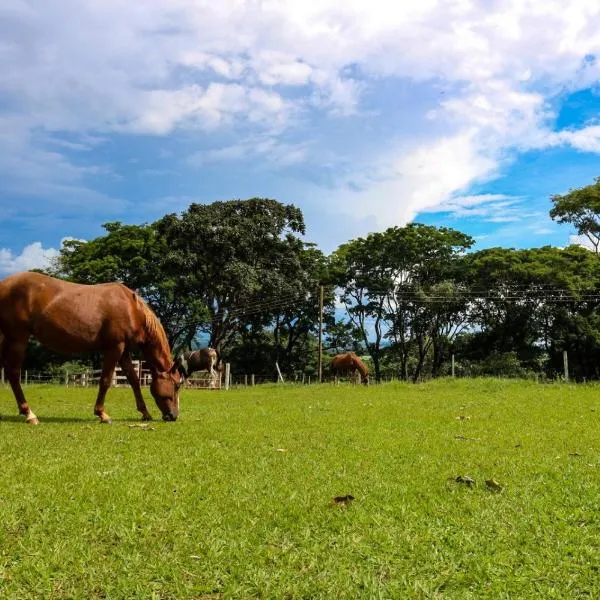 Sitio SMC - 15 min do centro de Altinópolis，位于阿尔蒂诺波利斯的酒店