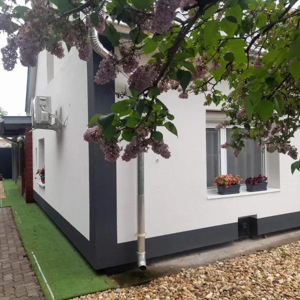 Bazsalikom-Apartman, hotel in Mezőkövesd