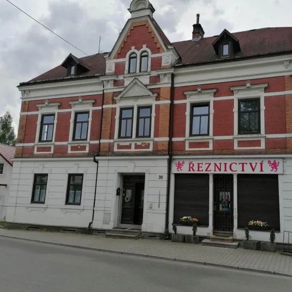 Apartmán Krkovička, hotel en Dolní Poustevna