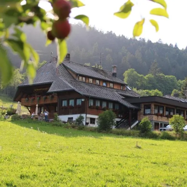 Das Schwarzwaldhotel, hotel en Todtmoos