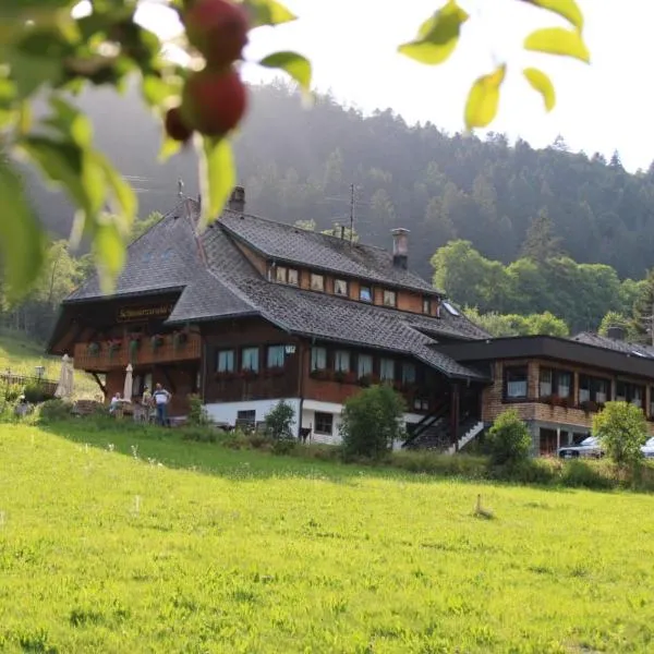 Das Schwarzwaldhotel, hotel v destinaci Todtmoos