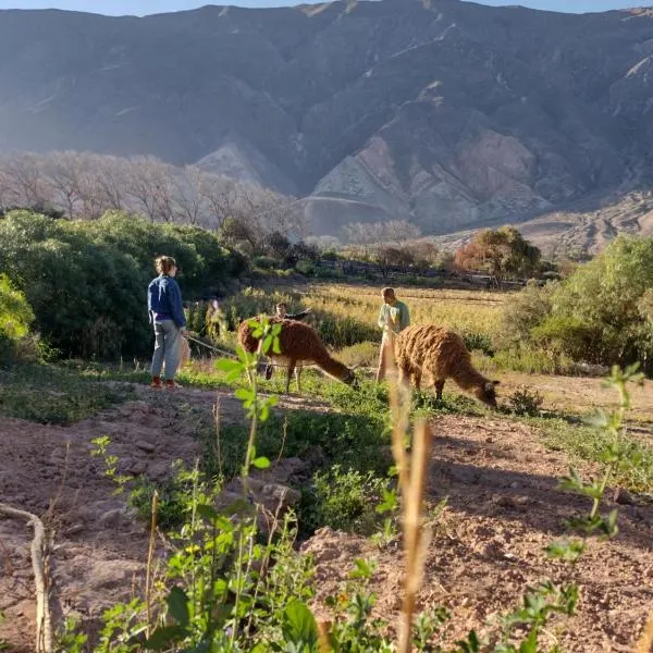 Dormir con llamas, hotel in Maimará