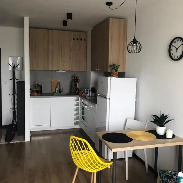 Apartament Pileckiego Nowy Dwór Mazowiecki Airport Modlin 24 H, hotel in Nowy Dwór Mazowiecki