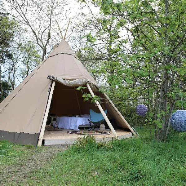 Tipi Texel, hotel u gradu ''t Horntje'