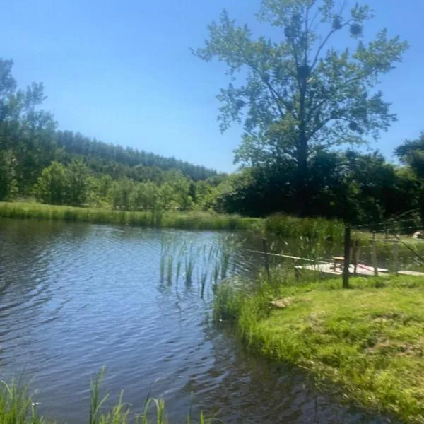 Rancho „Czajone na pigwowcu”，Lelkowo的飯店