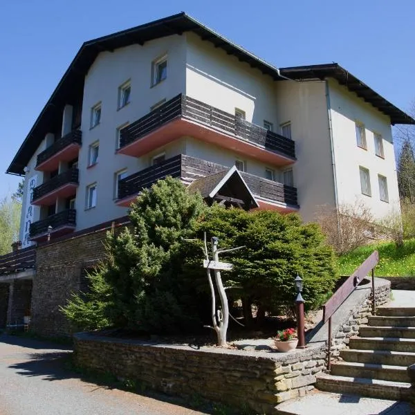 Penzion Diana, hotel in Železná Ruda