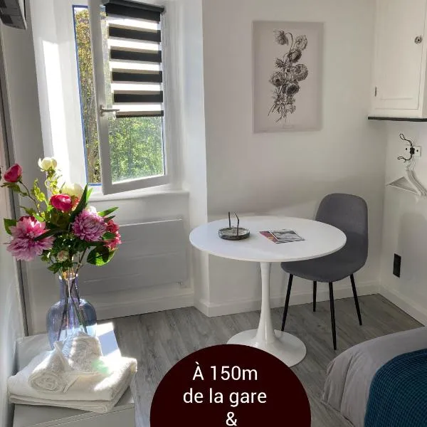 AUX 4 LOGIS Appart-hotel - Studio Le Flore - Petit déjeuner inclus 1ère nuit, hotel v destinaci Foix