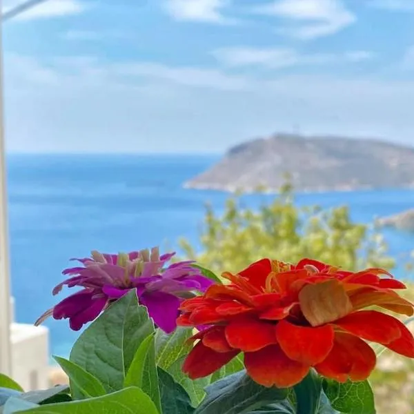 Poppy's House, hotel v destinaci Emborios