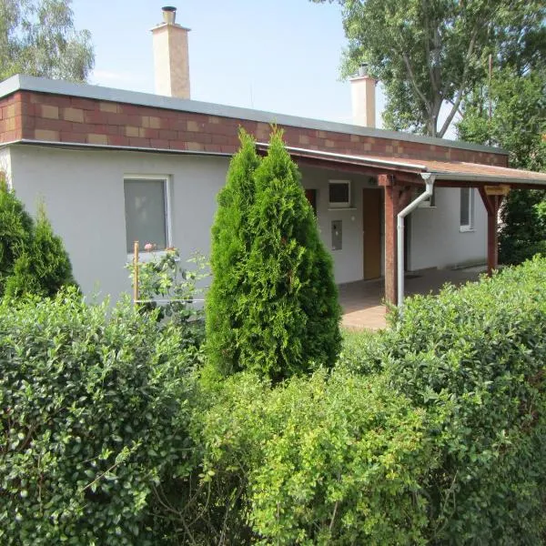 Silver Apartman Patince, hotel in Patince