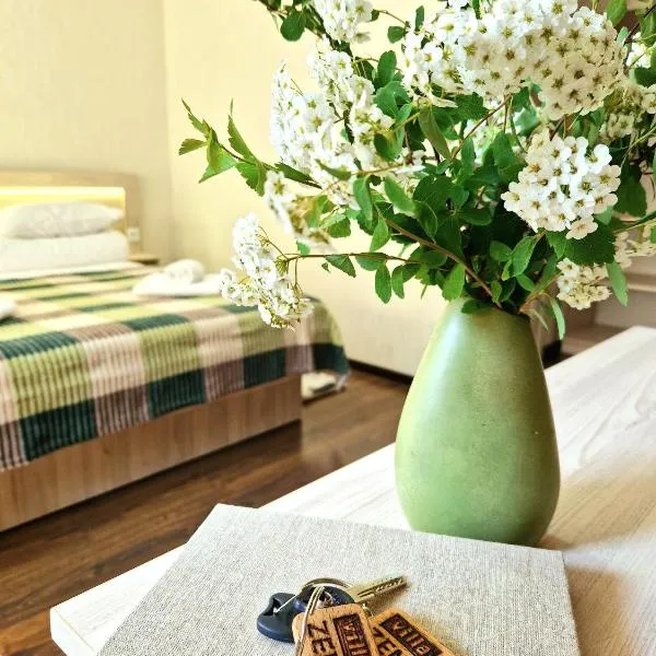 Villa ZENKO, hotel ve Lvově