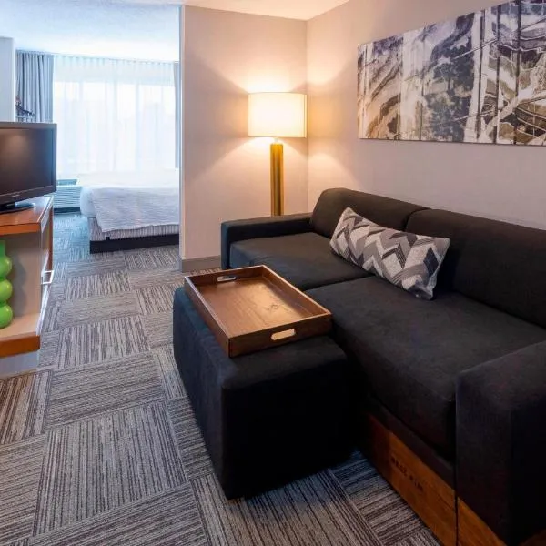 SpringHill Suites Rochester Mayo Clinic Area / Saint Marys, hotel em Rochester