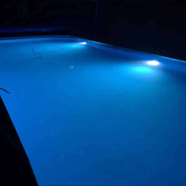 Willa 250 M z basenem, jacuzzi, ogrodem , tarasem oraz 2 hektary sadu , kominek i inne atrakcje, ξενοδοχείο σε Buszkowice
