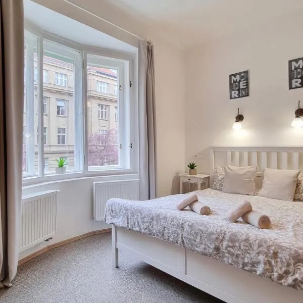 Finnem Rentals Zíkova, hotel en Praga